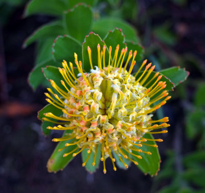 DSCF0425.jpg
