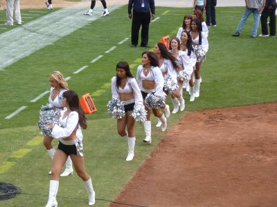 NYJ11-113.JPG