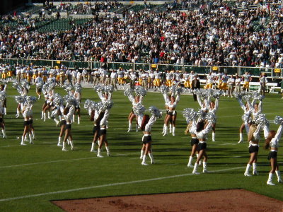 01-Packers43.JPG