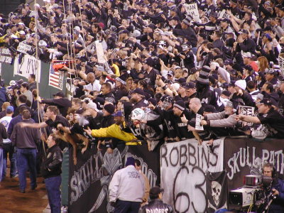 02-NYJ153.JPG