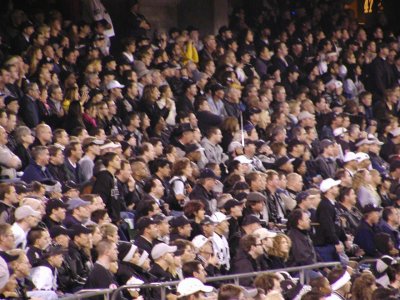 02-NYJ178.JPG