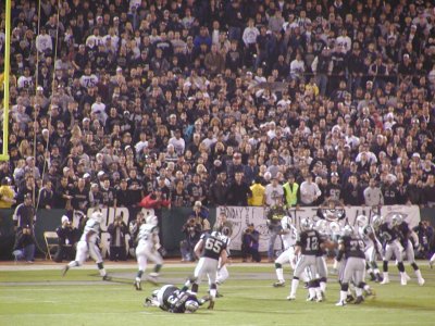 02-NYJ179.JPG