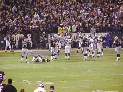 02-NYJ181.JPG