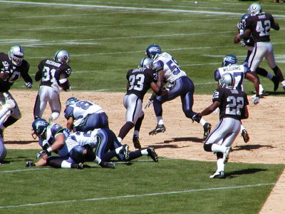 02-SEA116.JPG