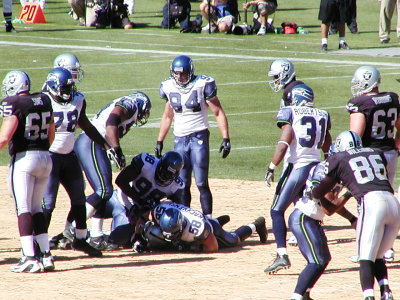 02-SEA181.JPG