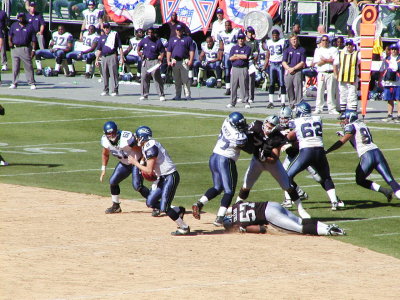 02-SEA185.JPG