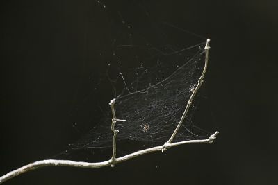 IMG_8152.jpg