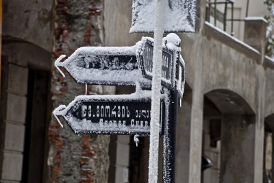 Sucker for a windblown, frozen street sign.