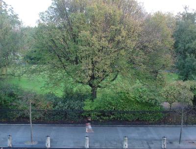 St. Stephen's Green, outside hotel window