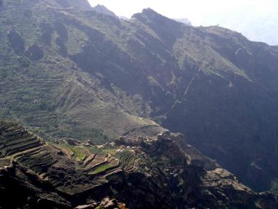 Endlessly shooting terraced agriculture