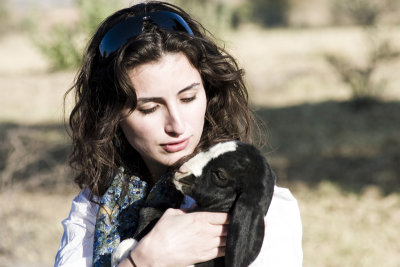 Sareh found a lamb. Or is that a goat?