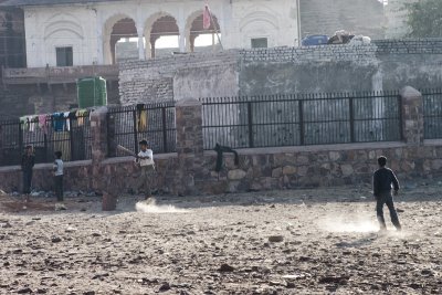 Cricket in the dust
