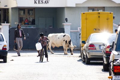 Madras street scene.