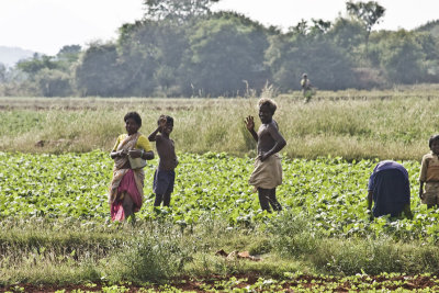 Family amused by the dopey foreigner photographing farms.