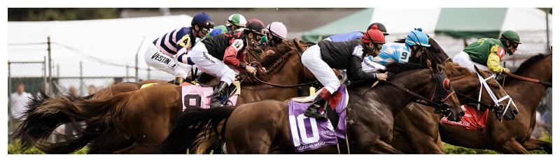 M_race9-good_reward.jpg