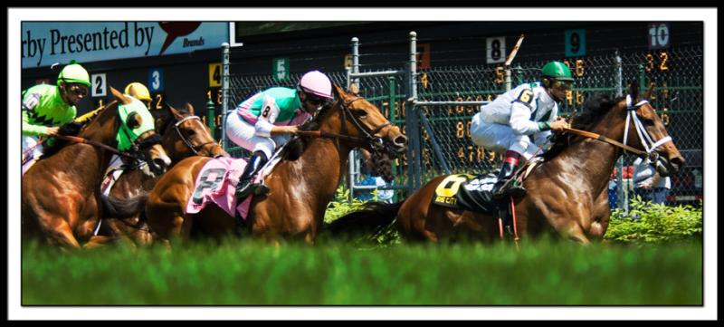 B_KOD1329EDIT-Oaks day.jpg