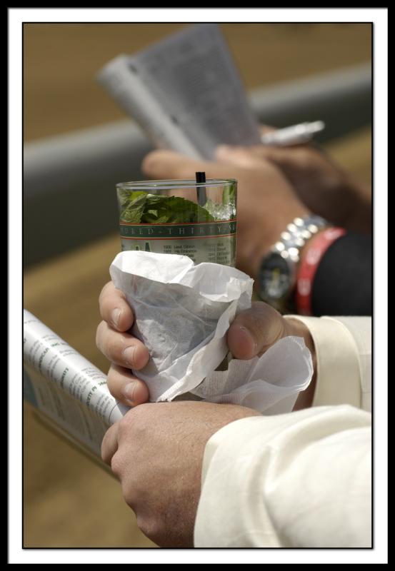 D-SC0498-mint julip.jpg