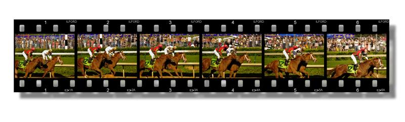 D-filmstrip-6-long.jpg