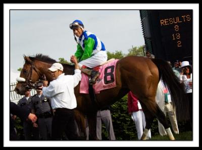 B-DSC_0083EDIT-EDGAR PRADO_Barbaro_WINNER.jpg