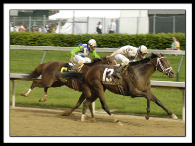 D-SC0026-Preakness.jpg