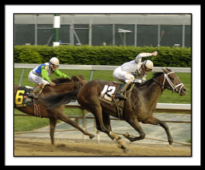 D-SC0028-Preakness.jpg