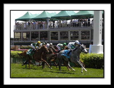 D-SC0297oaks - race 5.jpg