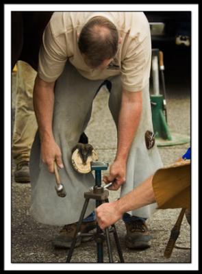 B-DSC_0047EDIT-cobbler.jpg