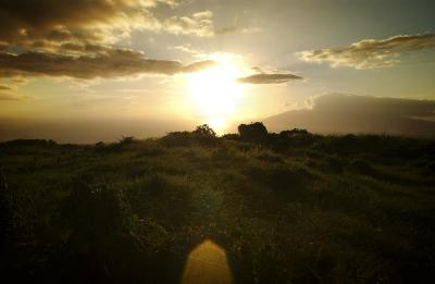 M-landscape.jpg