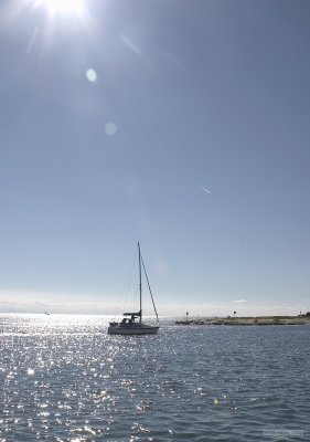 CRW_2564.jpg