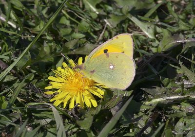 CRW_2588.jpg