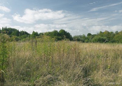 CRW_2125.jpg