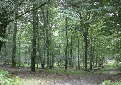 CRW_2249.jpg