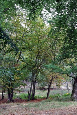 CRW_2305.jpg