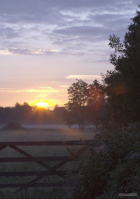 CRW_2424.jpg