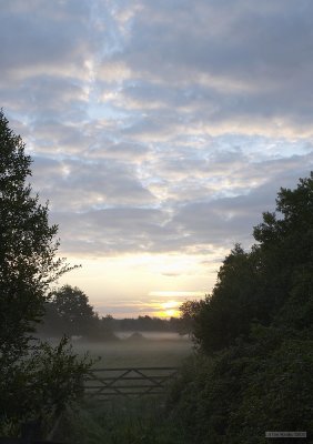 CRW_2434-1.jpg