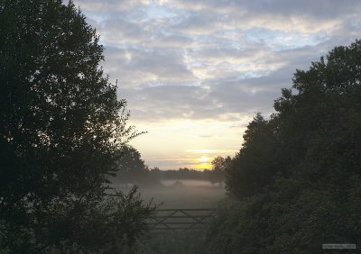 CRW_2435.jpg
