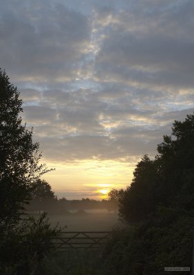 CRW_2438.jpg