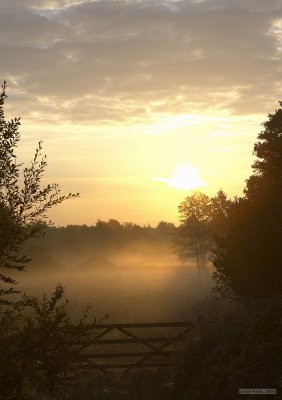 CRW_2456.jpg