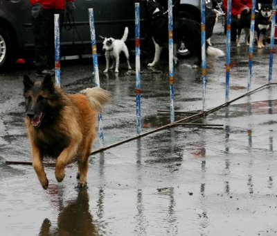 Agility