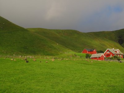 44.JPG