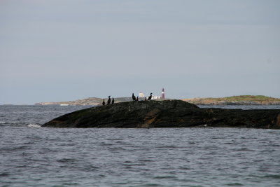 46.JPG