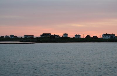 050.jpg