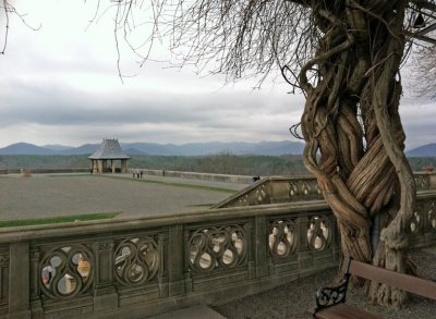 Biltmore_Garden-2.jpg