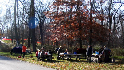 Picnic-lr.jpg