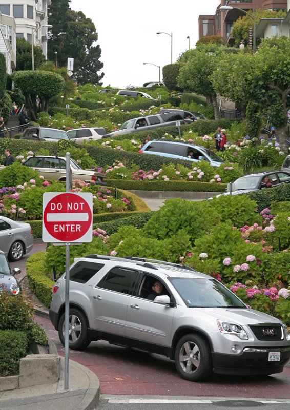 IMG_5293 Lombard St.