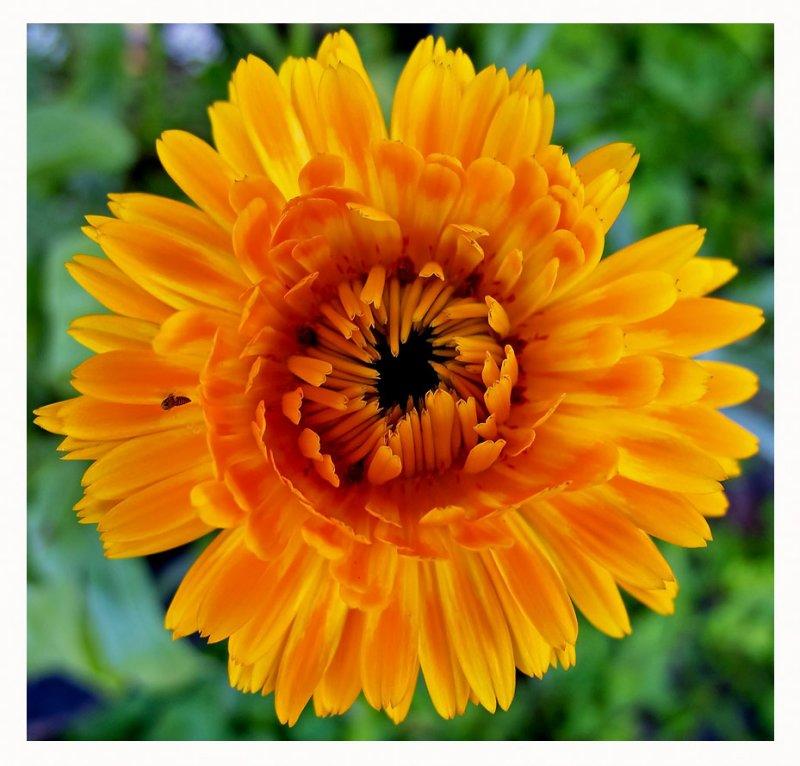 CR2_0955 WIC # 114 - Symmetry