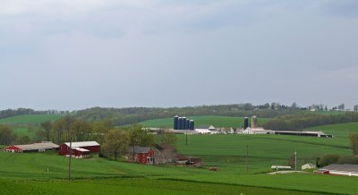 IMG_3829 Dairy Farms