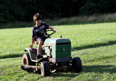 IMG_2283 Summer mowing ...