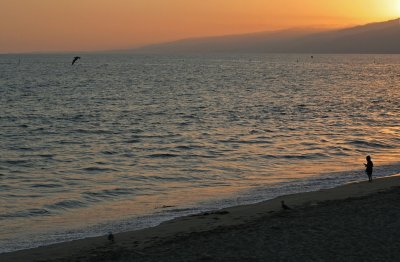 IMG_4805 Santa Monica Pier sunset
