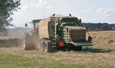 IMG_5456 Bales of straw